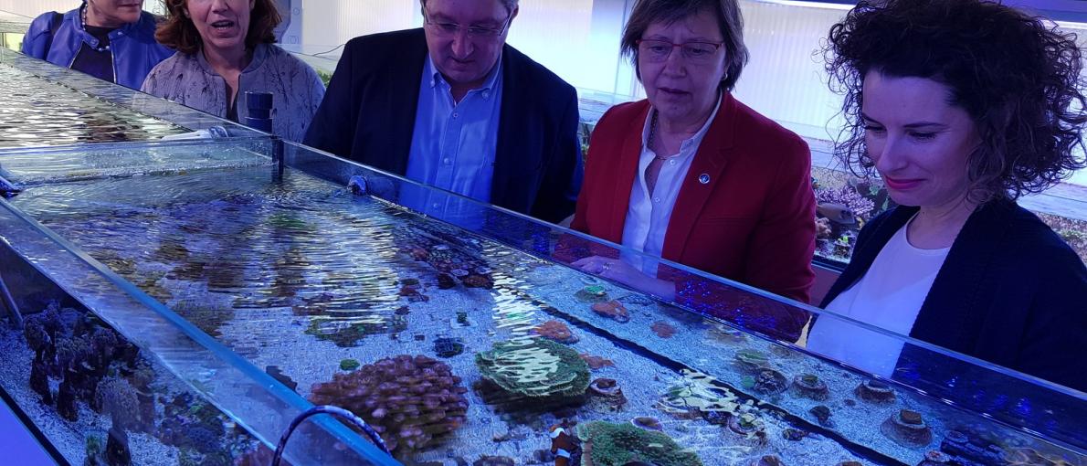 La conselleira do Mar, Rosa Quintana, visitó las instalacións de la empresa Frigomar Burela en Cervo y la granja de corales de Viveiro