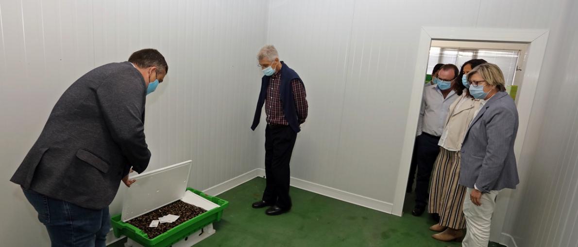 Galicia pon á disposición das confrarías e entidades xestoras de lonxas 600.000 euros para paliar a caída de ingresos durante a crise do coronavirus