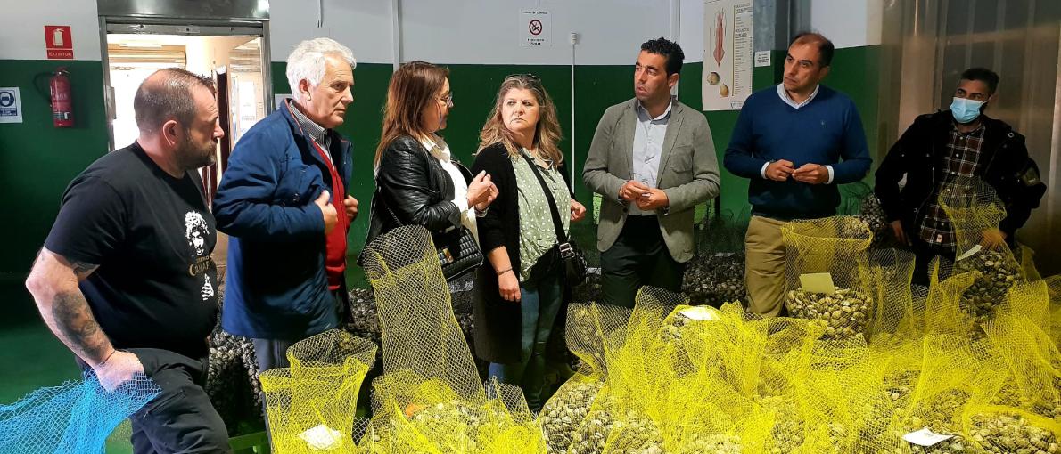 A Xunta aposta pola modernización tecnolóxica do sector marisqueiro da ría de Pontevedra coa implantación da plataforma 'Xesmar' en Campelo