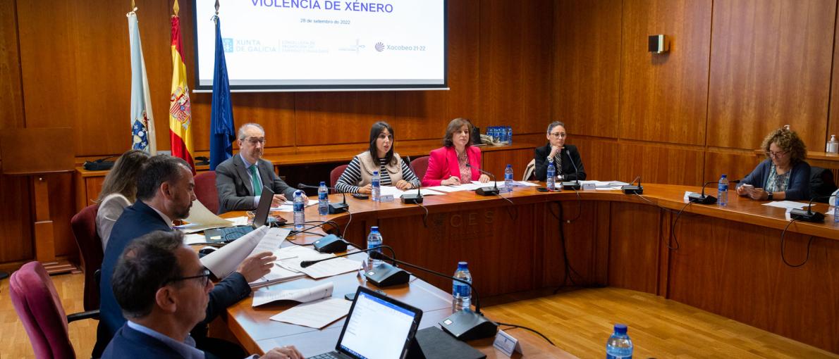 Galicia participa na elaboración dun catálogo estatal de referencia de políticas e servizos en materia de violencia contra as mulleres