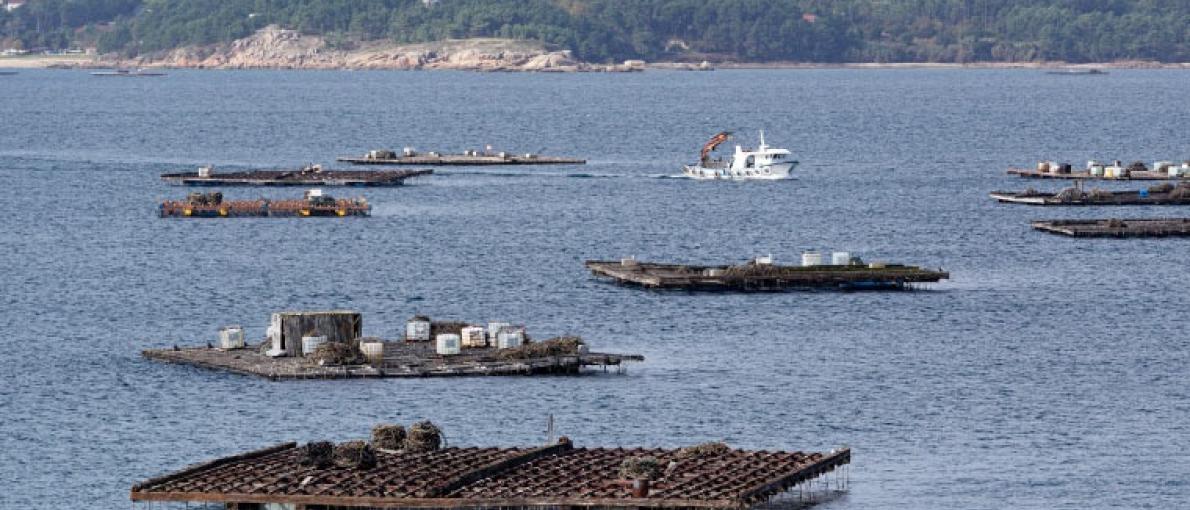 La Xunta destina más de 3,6 M€ en ayudas extraordinarias al sector de la acuicultura para paliar los efectos de la guerra de Ucrania