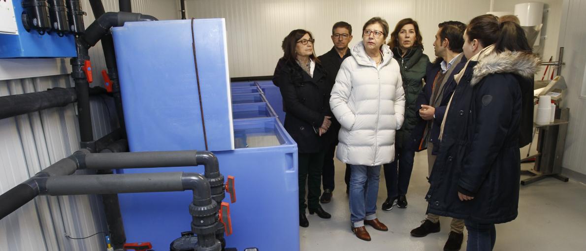 Los mariscadores de Ferrol serán los principales beneficiarios de una depuradora que les permitirá gestionar directamente la venta de sus capturas