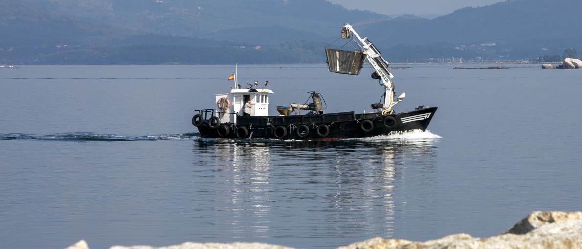Os propietarios de buques pesqueiros galegos poden optar a axudas para investimentos que fomenten a pesca sustentable