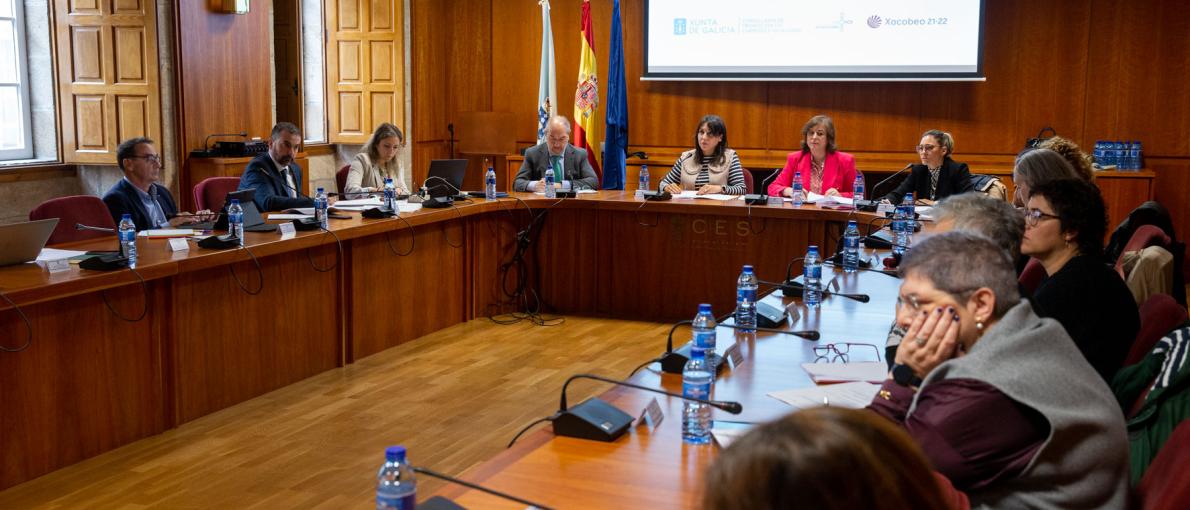 Galicia participa na elaboración dun catálogo estatal de referencia de políticas e servizos en materia de violencia contra as mulleres