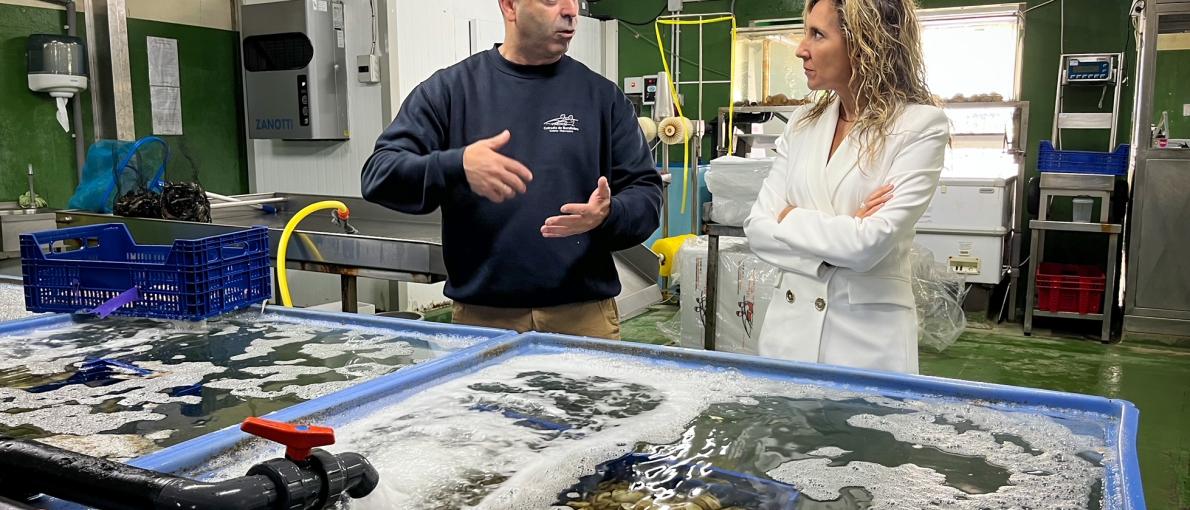 A Xunta financia con preto de 183.000 euros proxectos de cinco entidades de Ferrolterra a través do GALP Golfo Ártabro Norte