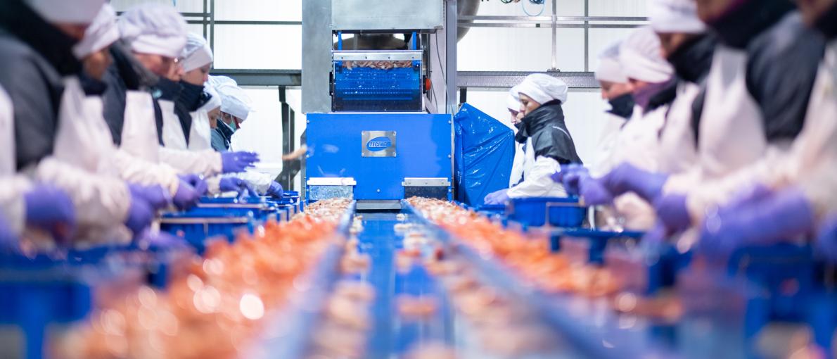Galicia destina 7,5 M€ a compensar os maiores custos de produción das empresas de transformación e venda de produtos do mar pola guerra en Ucraína