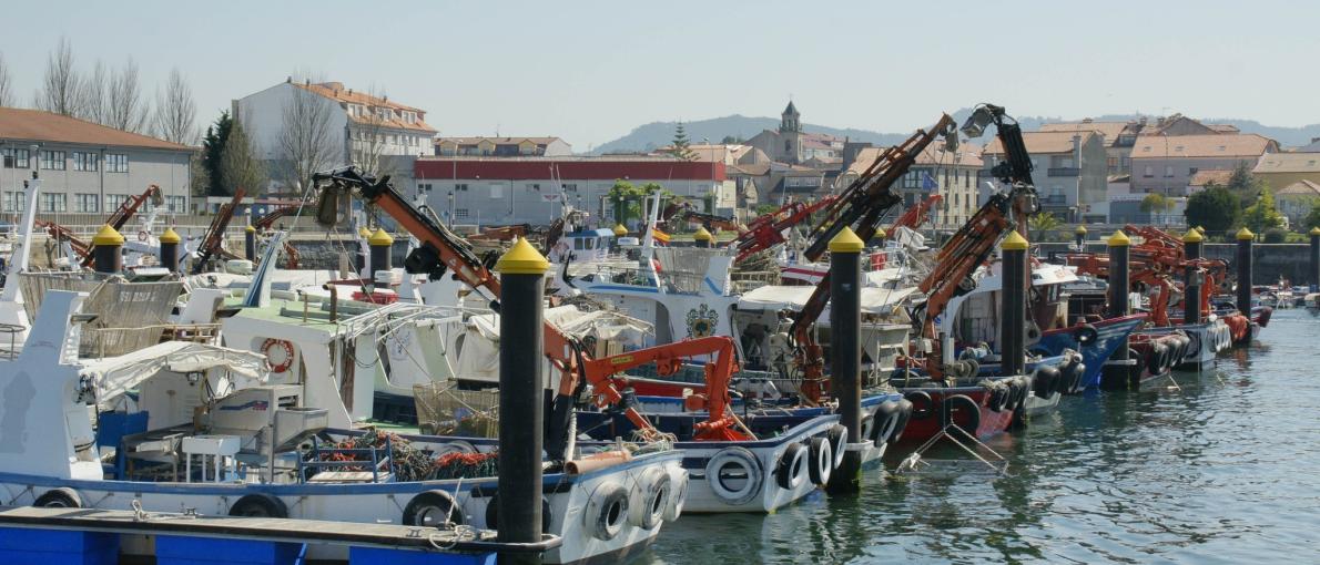 Fondo Europeo Marítimo e de Pesca (FEMP) 