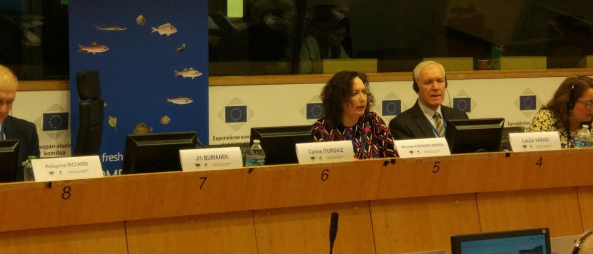 A directora xeral de Pesca, Acuicultura e Innovación Tecnolóxica, Mercedes Rodríguez, participou hoxe en Bruxelas no foro de Acuicultura na Unión Europea