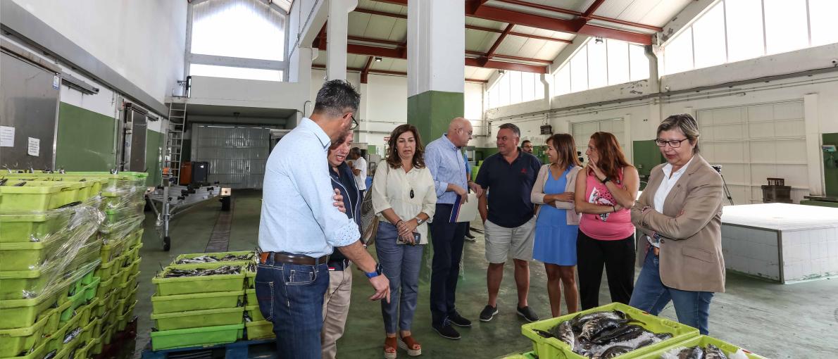 Galicia promoverá mejoras de eficiencia energética en las lonjas gallegas para que reduzcan el consumo de luz en un mínimo de un 40%