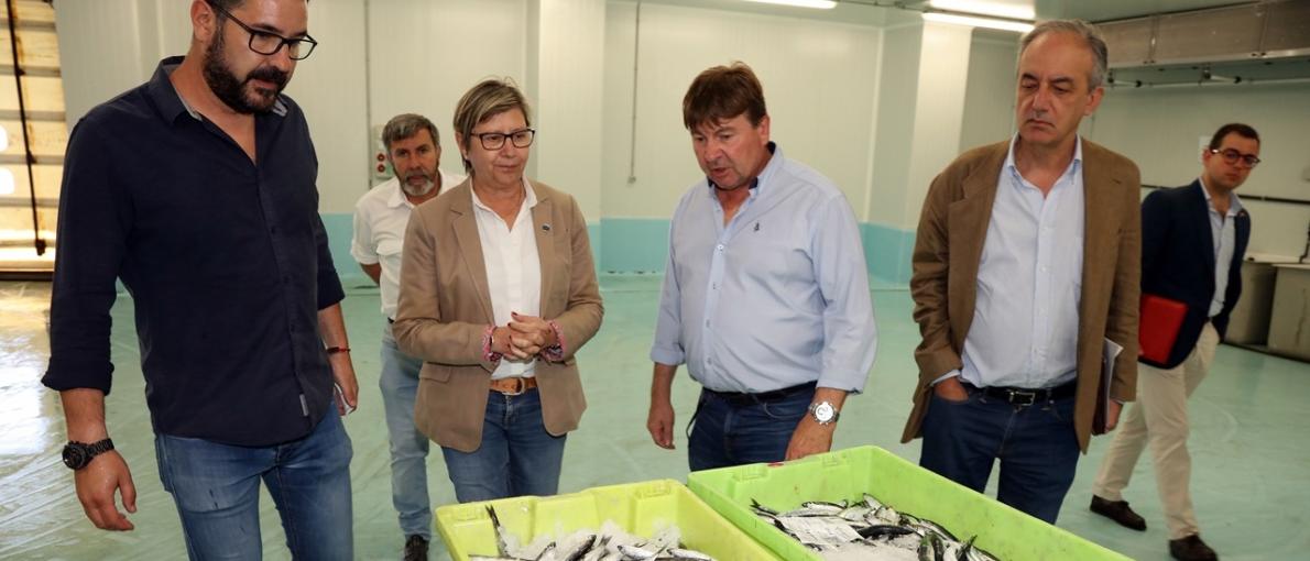  Rosa Quintana visita a lonxa de Ribeira co eurodeputado Francisco Millán Mon para trasladar a Europa a realidade da pesca galega