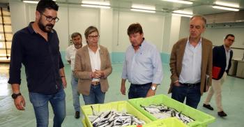  Rosa Quintana visita a lonxa de Ribeira co eurodeputado Francisco Millán Mon para trasladar a Europa a realidade da pesca galega